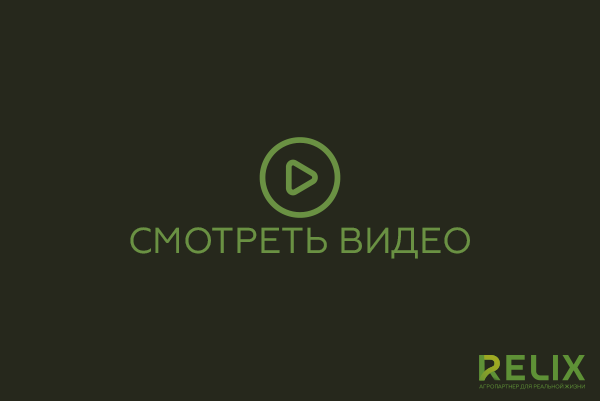 slide7