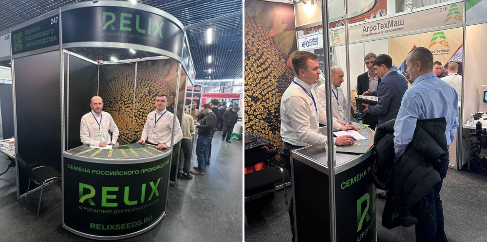 команда RELIX
