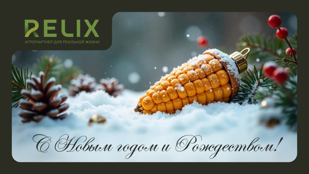 RELIX Новый год 2025 RELIX Новый год 2025