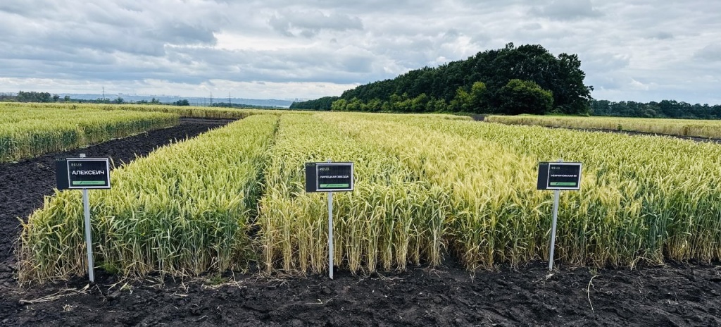 фото к новости полевые туры 10 июля_.jpeg