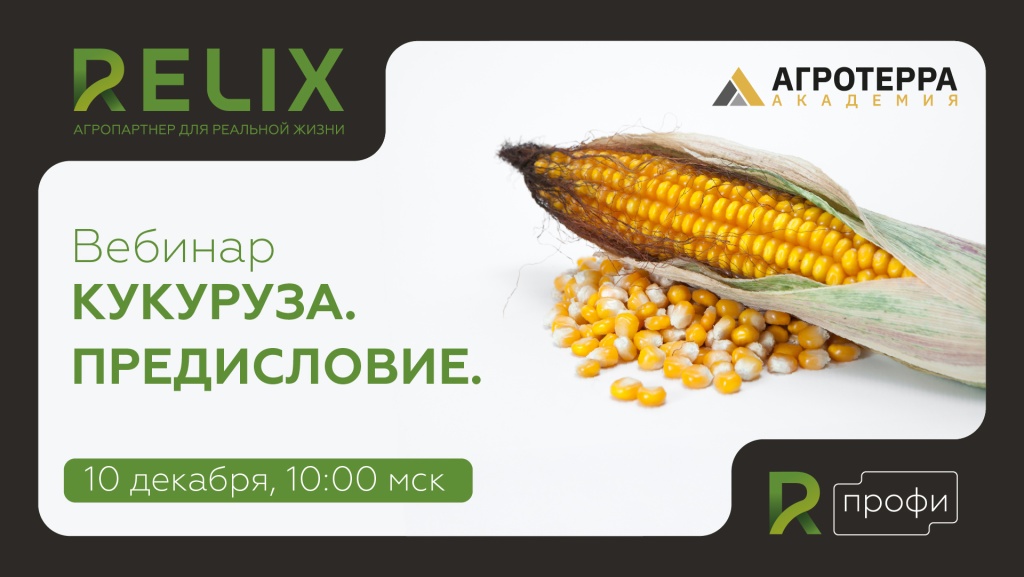 Кукуруза RELIX Кукуруза RELIX