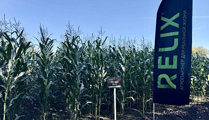 Семена RELIX® участвуют в полевой выставке в Рязанской области