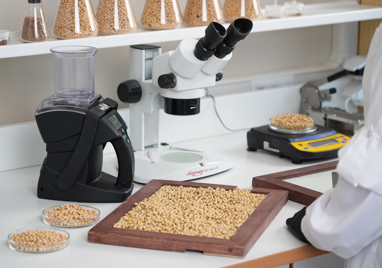 Фитоэкспертиза семян