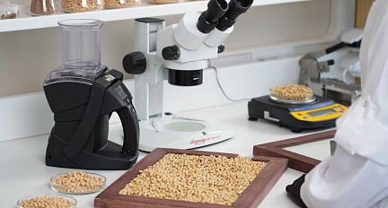 Фитоэкспертиза семян