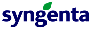Сингента