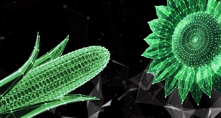 Цифровые решения